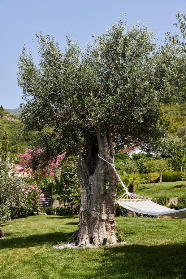 Przice Gardens with outdoor pool Appartement Kotor Buitenkant foto